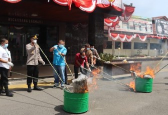 Kapolres dan jajaran Forkopimda yang hadir tampak memusnahkan batang dan daun ganja kering tersebut dengan cara membakarnya.