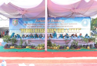 Ketua TP - PKK Kabupaten Asahan Terima Kunjungan Tim Observasi Lapangan Daerah Pilot Project