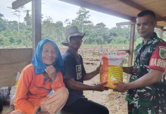 Babinsa Koramil 03 Kuala Kencana Komsos dan Bagikan Bibit Jagung Hibrida
