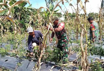Babinsa Koramil 1710-07/Mapurujaya Rutin Komsos Bersama Warga Binaan