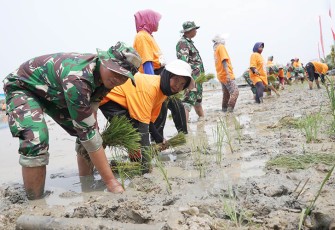 Gerakan Nasional Ketahanan Pangan
