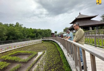 Konservasi Hutan Mangrove Tahura Bali