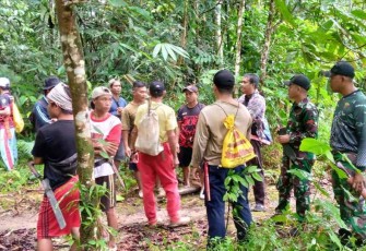 Pembersihan lahan adat di perbatasan 