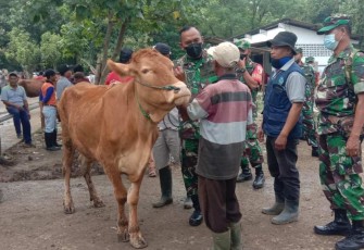 Dandim 0805/Ngawi Letkol Inf Adi Wirawan saat sidak vaksinasi PMK di pasar hewan Ngawi