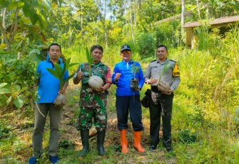 Penanaman Pohon Hari Desa Asri Nusantara