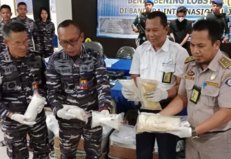 Penyelundupan benih lobster melalui bandara Juanda Surabaya 