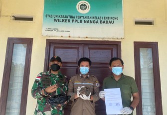 Penyelundupan satwa di perbatasan 