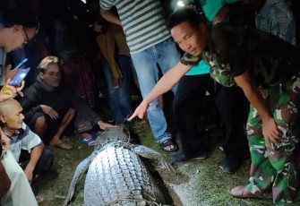 Sertu Moh Yana usai menangkap buaya