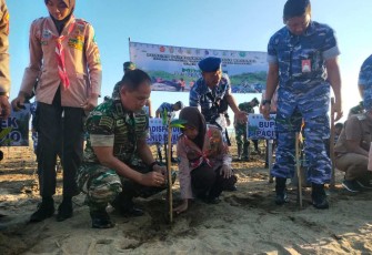 Dandim 0801/Pacitan Letkol Inf Roliyanto tanam mangrove di pesisir pantai Soge, Senin (15/5)