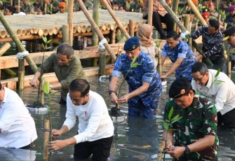 Kasau Marsekal TNI Fajar Prasetyo saat tanam mangrove 