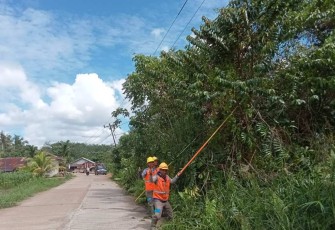 Pemangkasan ranting pohon di jalur listrik