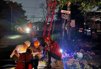 Petugas PLN ULP Siantan perbaiki jaringan listrik yang terputus kawat layang-layang 