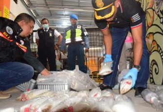Barang bukti penyelundupan benih Lobster di bandara Juanda Surabaya 