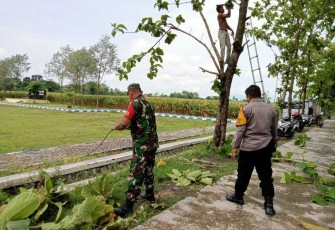 Pemangkasan pohon di pinggir jalan wilayah desa binaan 