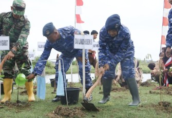 Kasi Bakti Lanud Husein Sastranegara Mayor Sus Esti Wulandari saat tanam mangrove di pantai Karang Paranje, Garut, Senin (15/5)
