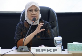 Direktur Tata Kelola Pemerintahan Daerah BPKP RI Nani Ulina Kartika Nasution 