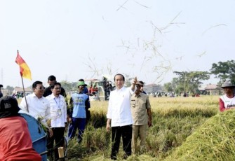 Presiden Joko Widodo mengikuti panen raya padi di Desa Ciasem Girang, Kabupaten Subang, Provinsi Jawa Barat, pada Minggu pagi, 8 Oktober 2023