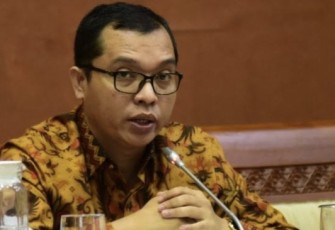 Ketua DPP PPP Achmad Baidowi, anggota Komisi VI DPR RI 