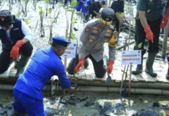 Kapolda Jatim Irjen Pol Imam Sugianto tanam bibit Mangrove di TPI Romokalisari, Benowo, Surabaya, Kamis (30/11)
