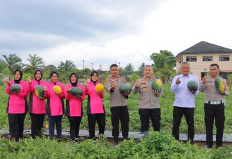 Dukung Program Ketahanan Pangan Polres Bengkulu Selatan Berhasil Panen Semangka