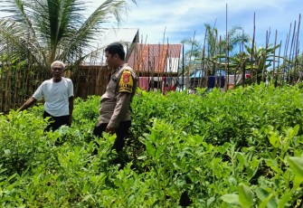 Sambang Warga Tanaman Pangan Lestari Bhabinkamtibmas Polsek Giri Mulya turun langsung Ke Desa