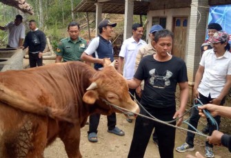 Babinsa Koramil 0801/05 Nawangan Dampingi Penyerahan Hewan Ternak