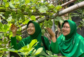 Yonif 330 Sukses Budidayakan Anggur