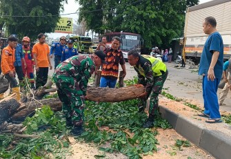 Komandan Koramil (Danramil) 0602-05/Cipocok Jaya Kodim 0602/Serang membantu Serang menuju Jakarta, Selasa (26/12/2023)
