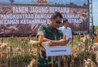 Pangkostrad saat Panen Jagungdi Ciemas, Kab. Sukabumi, Jawa Barat. Minggu  (12/3/2023).