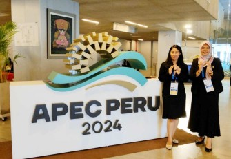 APEC PPFS 2024