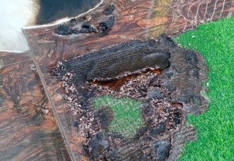 Rumah Ketua DPW Partai Aceh Dilempar Bom Molotov 