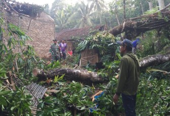 Solidaritas Tiga Pilar Desa Senden Menyinari Desa Pasca Bencana