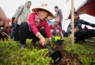 Pj Gubernur Sulsel Prof Zudan Arif Fakrulloh saat menanam bibit pohon 