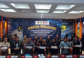 Bakamla RI Gagalkan Penyelundupan Benih Lobster ke Malaysia