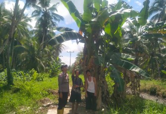 Seorang Pemancing Meregang Nyawa Setelah Tersengat Listrik