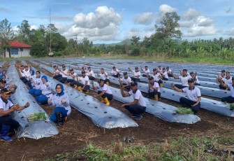 Lanudal Manado Kembali Tanam 4000 Bibit Palawija Unggulan di Lahan 1 Hektar 