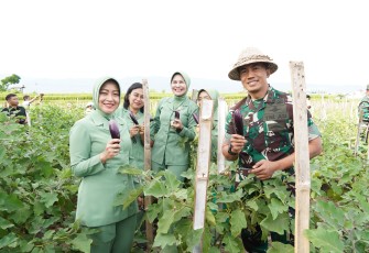 Pangdam IX/Udy Apresiasi Ketahanan Pangan Kodim Buleleng