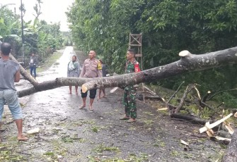 Babinsa Koramil 13/Kebonsari, Kodim 0803/Madiun, Serda Hariyanto bersama Bhabinkamtibmas langsung menuju lokasi untuk bergotong-royong melakukan pembersihan bersama warga masyarakat