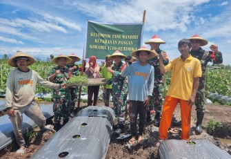 Babinsa Koramil 1710-02/Timika Pelopori Program Ketahanan Pangan Di Wilayah Dengan Mengajak Kelompok Tani Binaan Tanam 7000 Bibit Melon