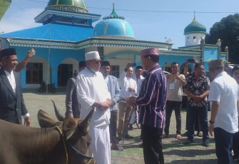 Penyerahan hewan kurban oleh Calon Bupati Manggarai, Herybertus Ngabut 