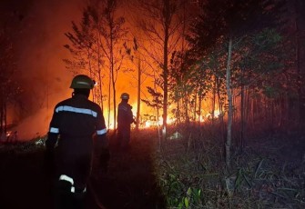 Kondisi Lahan yang terbakar dan upaya pemadaman oleh Tim Gabungan di Kabupaten Bintan, Provinsi. kepulauan Riau (29/7) 