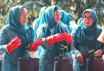 im Penggerak Pemberdayaan dan Kesejahteraan Keluarga (TP PKK) Provinsi Bengkulu dukung Gerakan Tanam Cabai Serentak se-Indonesia, Senin (4/2)