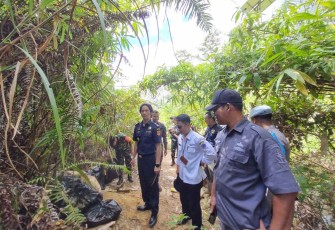 Penyelundupan Beras dan Minyak Goreng di Kawasan PLBN Entikong