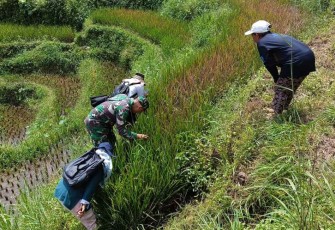 Bantu indentifikasi hawa pertanian warga binaan 