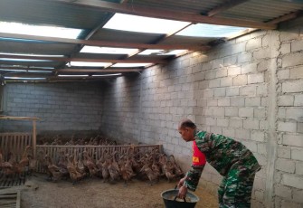 Pendampingan peternak bebek di wilayah desa binaan 