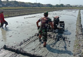 Pendampingan petani wilayah desa binaan 