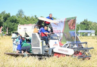 Danrem 081/DSJ Kolonel Inf H. Sugiyono saat panen raya padi di Kabupaten Ponorogo 