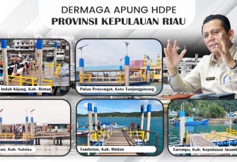 Dermaga Apung HDPE 