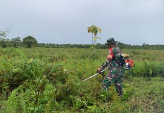 Kodim 1710/Mimika dan Pemda Serta Kelompok Tani Buka Lahan Persawahan Guna Mensukseskan Program Pompanisasi 