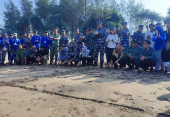 Pelepasan tukik di dusun Bajulmati, Kecamatan Gedangan Kabupaten Malang